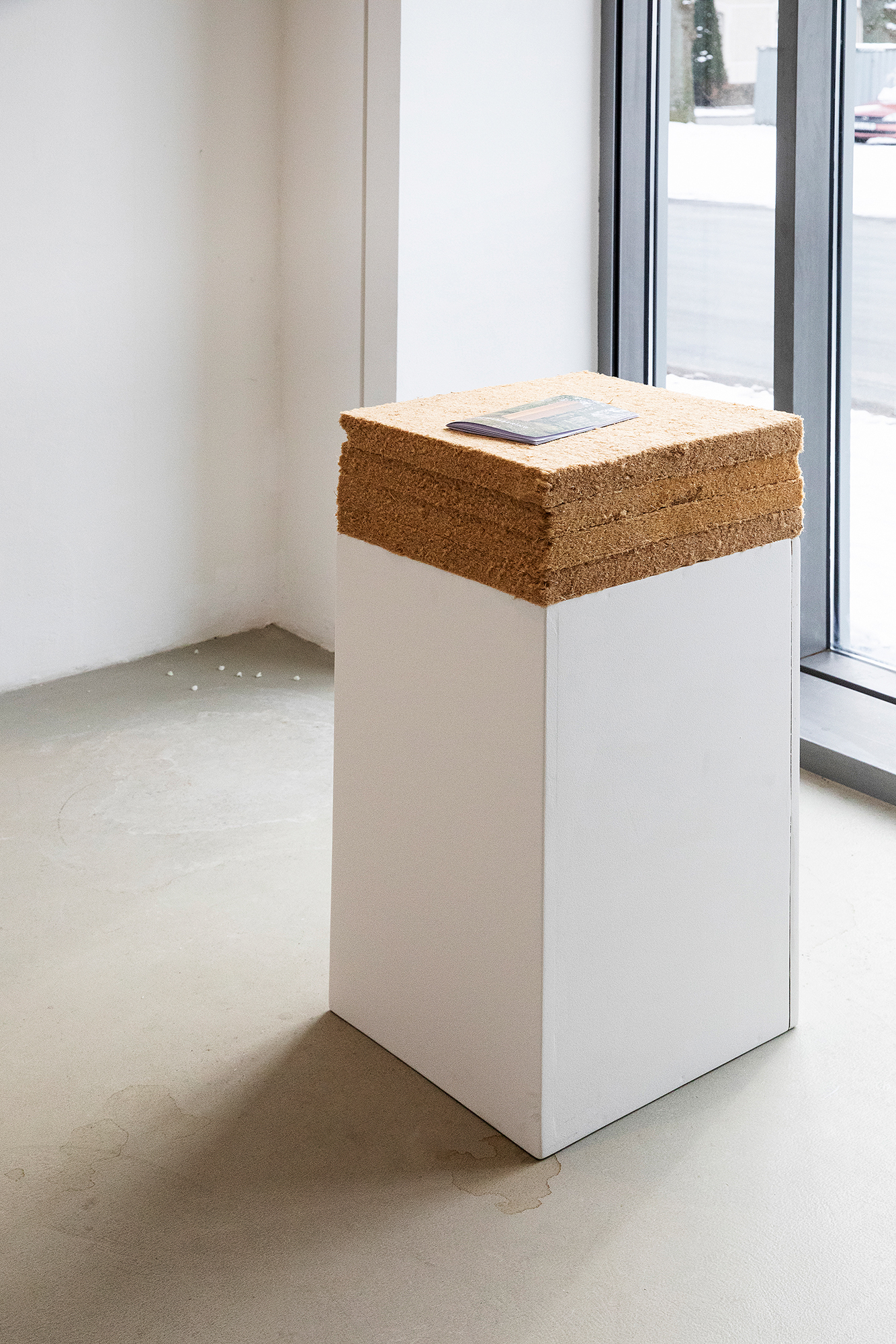 Unremembering (2026), Anton Backe, 15 February 2026. Photo: Marie-Theres Böhmker.