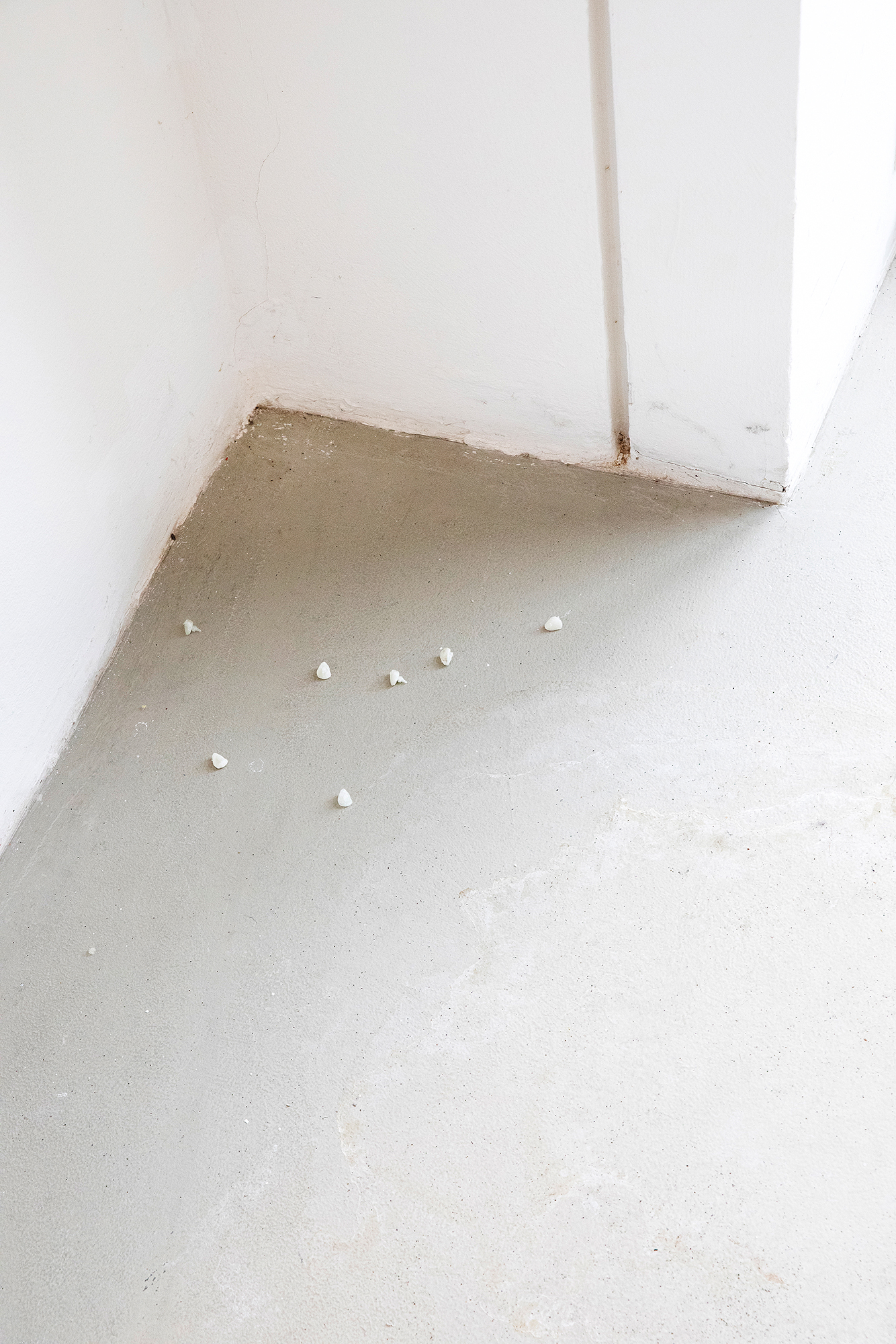 Omniscient matter (2026), Julia Karla, 15 February 2026. Photo: Marie-Theres Böhmker.