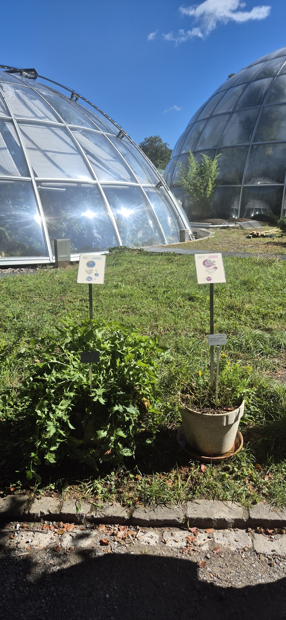 Visit Botanical Garden with Marting Huber, August 2026. Photo: Ronald Kolb