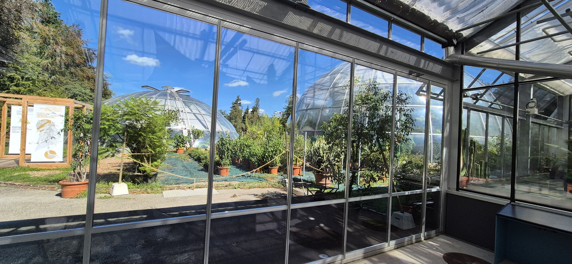 Visit Botanical Garden with Marting Huber, August 2026. Photo: Ronald Kolb