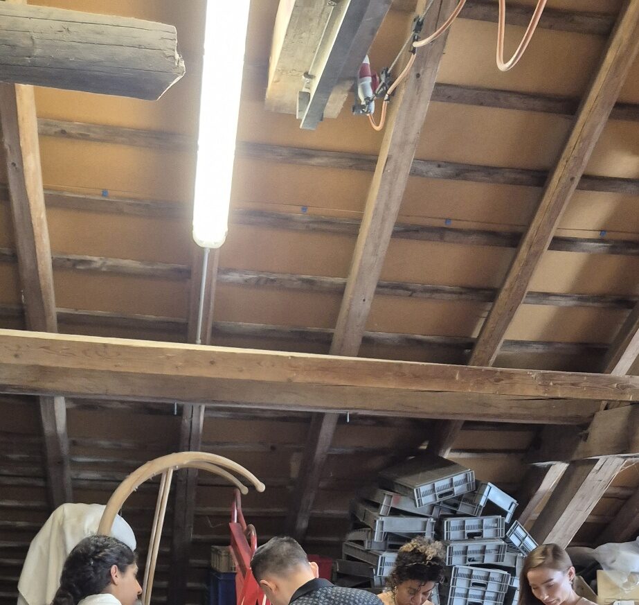 Workshop with Willimann/Arai 