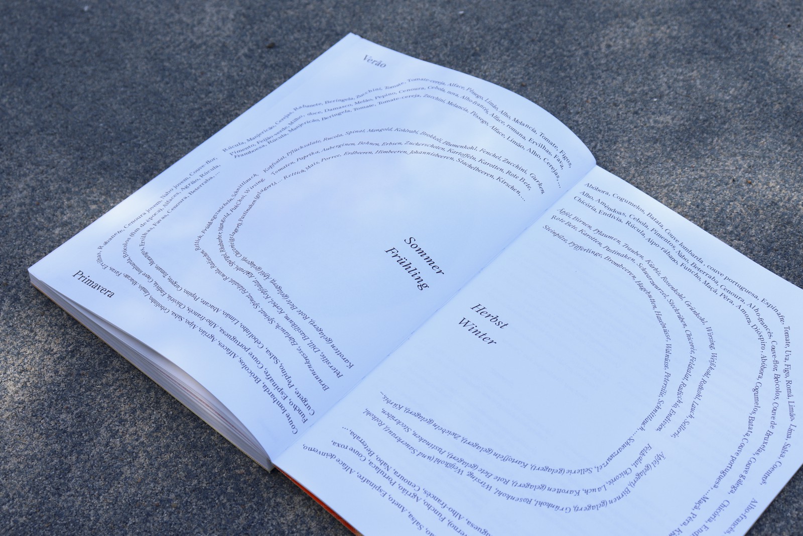 Modularküche (Paula König, Liliana Escalhão und Johann König): Von Mairübe bis Brunnenkresse
